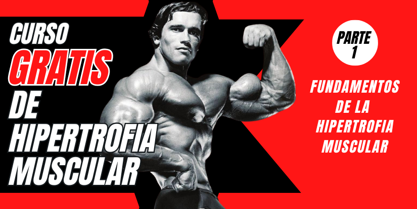 Curso gratis Hipertrofia parte 1
