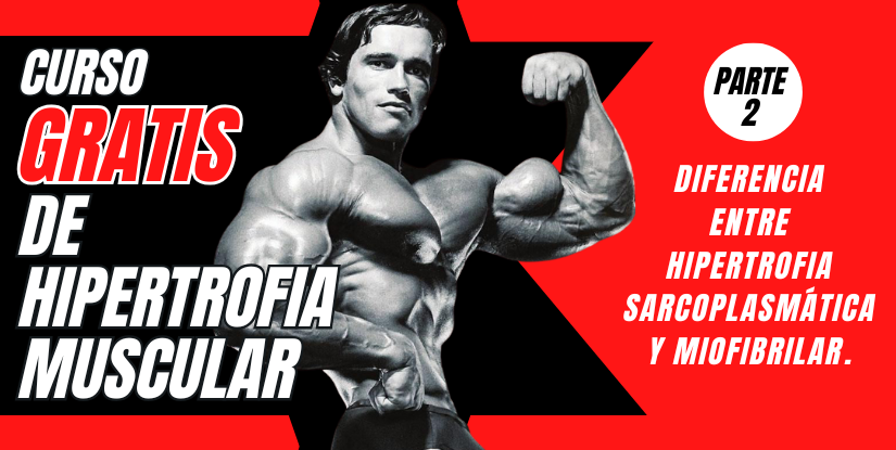 Hipertrofia Sarcoplasmática vs Miofibrilar